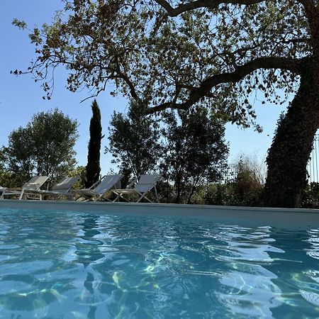 B&B Maison D'Hote Et Gite Mas D'Eymard Arlés Exterior foto